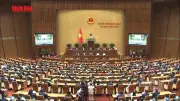 Quốc hội giám sát tài sản công sau sắp xếp bộ máy