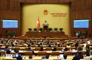 Quốc hội thông qua Nghị quyết về thuế tiêu thụ đặc biệt với xăng dầu