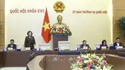 Quốc hội thảo luận sửa đổi chính sách thuế hỗ trợ doanh nghiệp nhỏ và xe điện