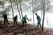 Quảng Trị Kịp Thời Dập Tắt Đám Cháy Rừng Ở Khu Vực Biên Giới Biển