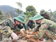 Quảng Trị Phát Hiện Nhiều Hài Cốt Liệt Sĩ Cùng Các Kỷ Vật Thiêng Liêng