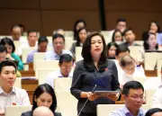 Sửa Luật Trợ Giúp Pháp Lý: Đề Xuất Hỗ Trợ Nạn Nhân Bị Lừa Đảo Trực Tuyến