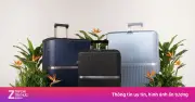 Samsonite Tái Khởi Động Chiến Dịch 'Thu Vali Cũ, Đổi Vali Mới' Hướng Đến Du Lịch Bền Vững