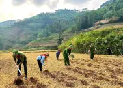 Sắc Phục Xanh Góp Sức Dựng Xây Mùa Vàng Mới Trên Nương Cao Tuyên Quang