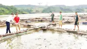Sơn La định hình chuỗi giá trị thủy sản khép kín, hướng tới mục tiêu 10.700 tấn vào năm 2030