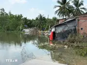 Sạt Lở Nghiêm Trọng Ở Đồng Tháp, Cắt Đứt Hoàn Toàn Tuyến Đường Huyết Mạch Dọc Sông Phú An
