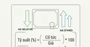 Tỷ suất cổ tức: Công thức, ý nghĩa và những lưu ý quan trọng cho nhà đầu tư