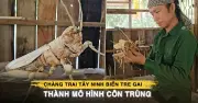 Từ thợ cắt tóc đến nghệ nhân tre gai: Hành trình biến hình thù tự nhiên thành tác phẩm nghệ thuật