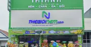 TATANA Đẩy Mạnh Dòng Sản Phẩm Xanh, Hướng Đến Giải Pháp Giấc Ngủ Bền Vững