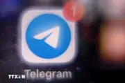 Telegram Bị Chặn, Người Dùng Nga Chuyển Sang Ứng Dụng Nhắn Tin Châu Á