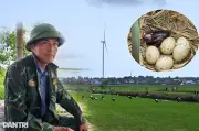 Thợ săn khét tiếng bỏ nghề, hồi sinh vùng 'tự địa' của chim trời