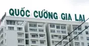 Thị trường chứng khoán lao dốc, VN-Index mất gần 20 điểm do áp lực chốt lời