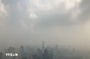 Thái Lan ban bố tình trạng khẩn cấp tại 3 tỉnh do cháy rừng và bụi mịn