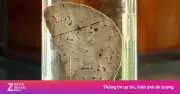 Thói quen ăn rau sống, gỏi cá: 'Sát thủ' âm thầm hủy hoại gan
