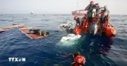 Thảm kịch di cư: 19 thi thể trên thuyền ngoài khơi Ý, Croatia giải cứu 30 người