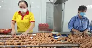 Thương hiệu quốc dân Ba Huân và bài học từ những người tiên phong
