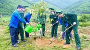 Tháng Thanh niên 2026: Hơn 5,6 triệu cây xanh và 51 nghìn sáng kiến vượt chỉ tiêu