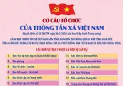 Thông tấn xã Việt Nam chính thức là đơn vị sự nghiệp công lập từ 1/4/2026