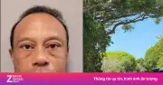 Tiger Woods tạm dừng thi đấu sau vụ tai nạn và bị bắt vì lái xe say xỉn