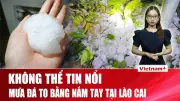 Tin Nóng 60 Giây: Mưa Đá Sập Nhà, Fan Soobin Chi 1 Tỷ, Hà Nội Lắp Camera AI