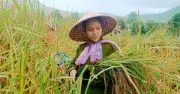 Tăng cường phổ biến pháp luật về bình đẳng giới cho đồng bào dân tộc thiểu số