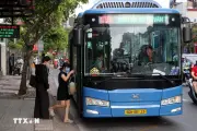 TP.HCM dự kiến miễn vé cho người dân trên 135 tuyến xe buýt