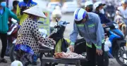 TP.HCM: Gần 33.000 lao động hưởng trợ cấp thất nghiệp, nhóm trung niên chiếm 54%