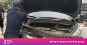 Trăn quý hiếm khổng lồ chui vào nắp capô ôtô tại Lào Cai, người dân hoảng hốt