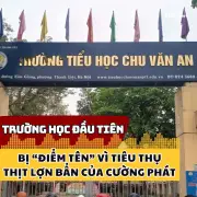 Trường học đầu tiên bị điểm danh vì tiêu thụ thịt lợn bẩn của Công ty Cường Phát