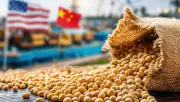Trung Quốc đẩy mạnh chiến lược giảm phụ thuộc đậu nành Mỹ, tăng cường nguồn cung nội địa