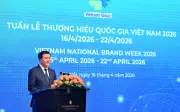 Tuần Lễ Thương Hiệu Quốc Gia Việt Nam 2026 Khai Mạc: Hướng Tới 'Designed and Branded in Vietnam'