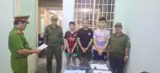 Tây Ninh: Bắt tạm giam nhóm thiếu niên gây rối, tấn công người đi đường
