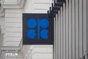 UAE tuyên bố rút khỏi OPEC và OPEC+