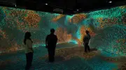 UEH Ra Mắt Immersive Room: Bước Đột Phá Trong Giáo Dục Đa Ngành Và Công Nghệ