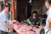 Vụ 300 tấn lợn bệnh tiêu thụ tại Hà Nội: Cục Chăn nuôi và Thú y lập đoàn kiểm tra