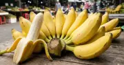 Vì Sao Chuối Lại Là 'Thần Dược' Tự Nhiên Giúp Hạ Huyết Áp Hiệu Quả?