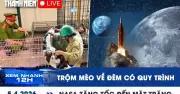 Vụ trộm mèo đêm dẫn đến lộ mật NASA tăng tốc dự án Mặt Trăng