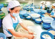 Xu hướng siết chặt tiêu chuẩn bao bì từ các thị trường nhập khẩu