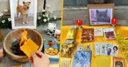 Xu hướng tang lễ thú cưng xa hoa tại Trung Quốc: Từ vàng mã giấy đến nghi thức nhân hóa