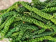 Xuất khẩu hồ tiêu tăng mạnh giữa áp lực nguồn cung và logistics