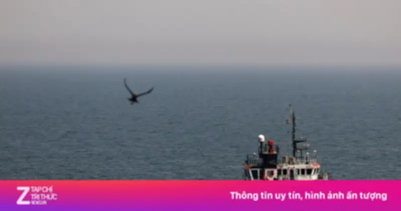 1.600 tàu mắc kẹt ở Hormuz: Dự án Tự do của ông Trump thất bại