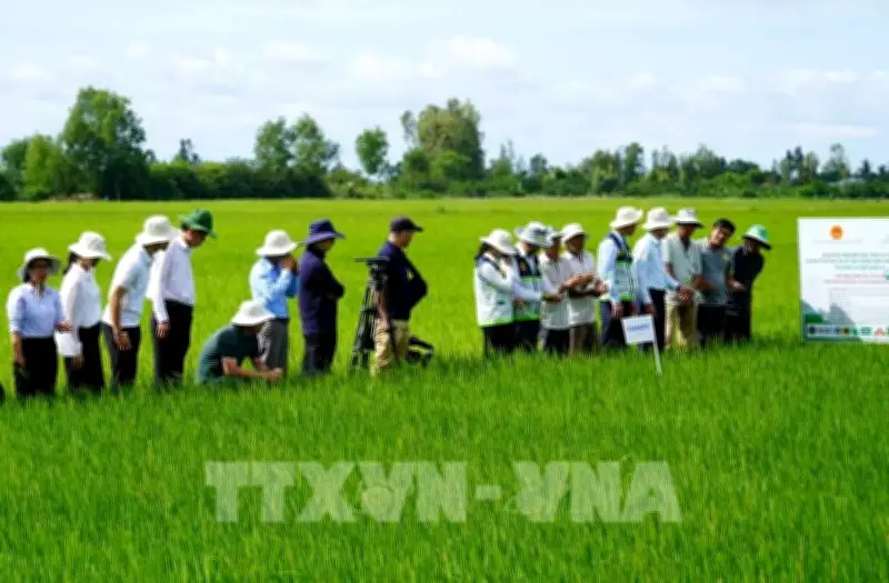 32 địa phương hoàn thành sắp xếp kiện toàn trung tâm khuyến nông cấp tỉnh