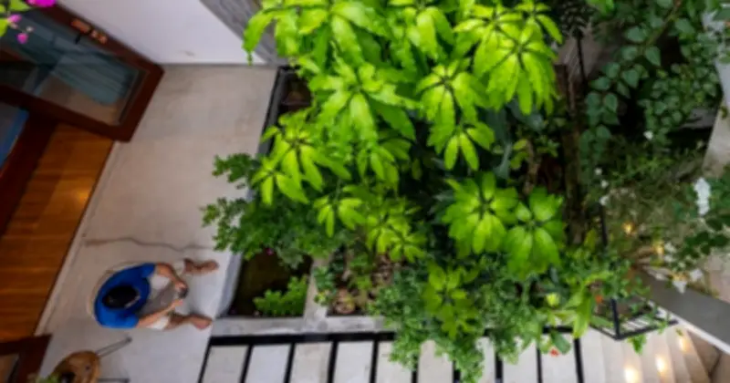 5 dấu hiệu phong thủy cho thấy nhà bạn đang tích tụ vận may tài lộc
