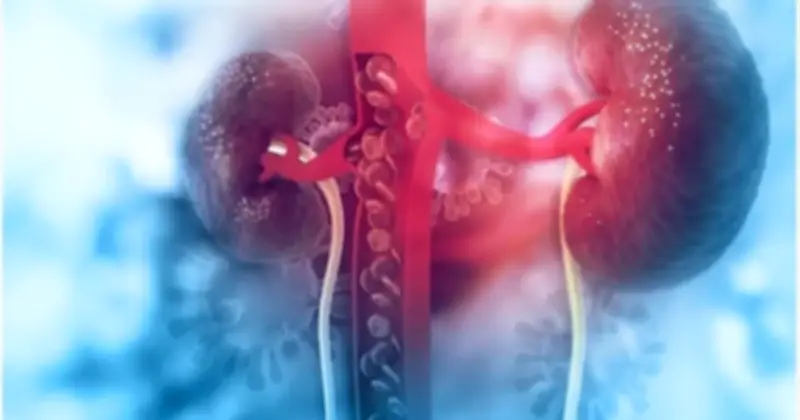 6 cách tự nhiên đào thải acid uric, ngừa gout và bảo vệ thận