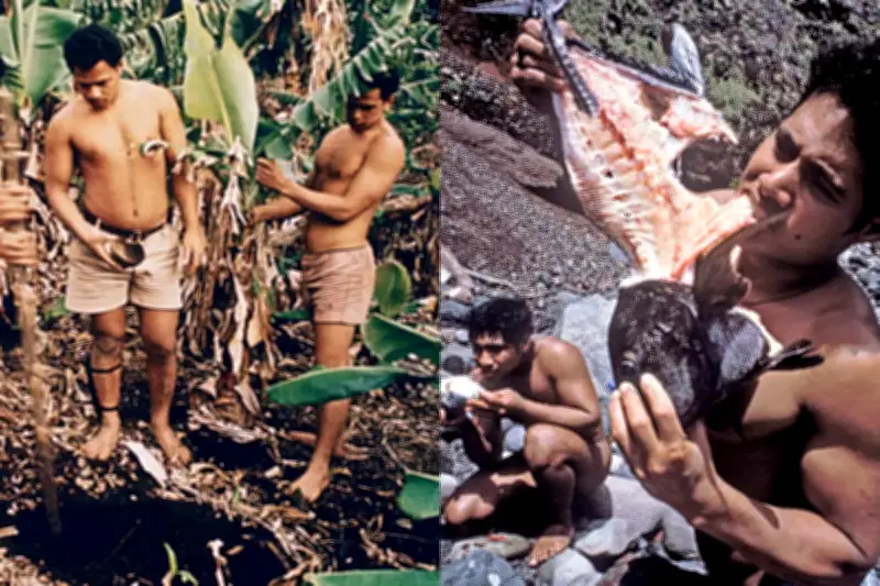 6 nam sinh Tonga sống sót 15 tháng trên đảo hoang nhờ tinh thần đồng đội