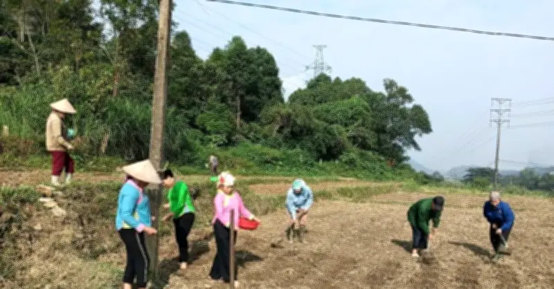 Đa dạng hóa truyền thông giúp Pa Tần thoát nghèo bền vững
