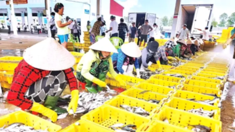 An Giang quyết tâm gỡ thẻ vàng IUU với giải pháp đồng bộ, công nghệ eCDT