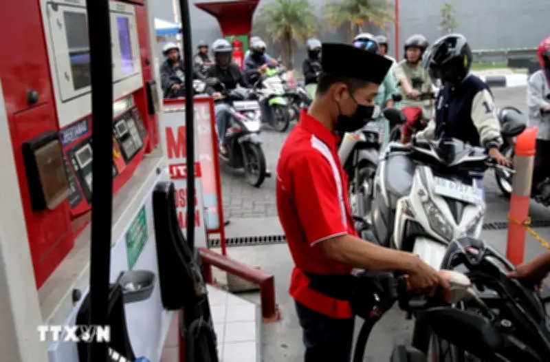 ASEAN+3 nhất trí hợp tác giải quyết thách thức nguồn cung dầu thô
