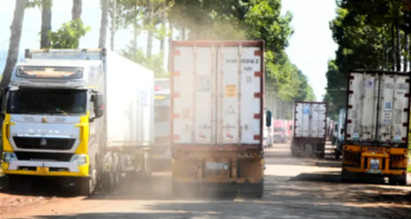 Đau đầu hết cảnh container sầu riêng chờ kiểm định, áp lực với chủ hàng vẫn lớn