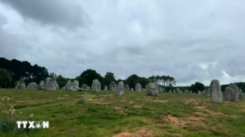 Bí ẩn rặng đá dựng Carnac: Nơi thời gian hóa thành những hàng quân bất tận